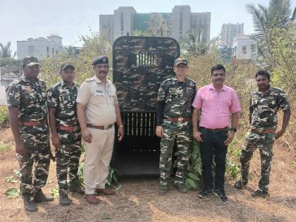 A cage was put up to imprison the leopard | बिबट्याला जेरबंद करण्यासाठी लावला पिंजरा