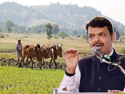 Maharashtra Budget 2023 Deputy Chief Minister Devendra Fadnavis answered the opposition's question on the budget | Maharashtra Budget 2023 : शेतकऱ्यांना आज १२ हजार रुपये देतोय, भविष्यात त्यात १२ हजाराची वाढही होऊ शकते; देवेंद्र फडणवीसांनी मांडला 'हिशेब'