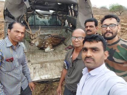 Chital entered the residential complex in search of water | पाण्याच्या शोधार्थ चितळ घुसले निवासी संकुलात