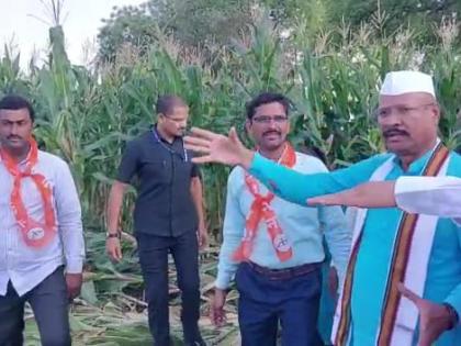 Compensation will be announced by March 25; Information of Agriculture Minister Abdul Sattar in Jalgaon | नुकसान भरपाईची घोषणा 25 मार्चपर्यंत होईल; कृषिमंत्री अब्दुल सत्तार यांची जळगावात माहिती