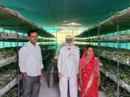 By sericulture, the Suadagar Pandav of Pirtakali is getting an income of seven lakhs per acre! | रेशीम शेतीने पिरटाकळीच्या सौदागर पांडवला मिळतेय एकरी सात लाखांचे उत्पन्न!