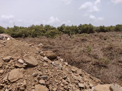 Proposal for creation of Navi Mumbai SEZ IT Hub project in hundreds of hectares of mangroves, wetlands in Uran | उरणातील शेकडो हेक्टर खारफुटी, पाणथळ क्षेत्रात नवी मुंबई सेझ आयटी हब प्रकल्प निर्मितीचा प्रस्ताव