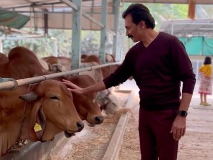 marathi actor milind gawali share special post about cow | 'आपल्या देशात अजूनही गायींची काळजी घेतली जात नाही'; अभिनेत्याने केली मार्मिक पोस्ट