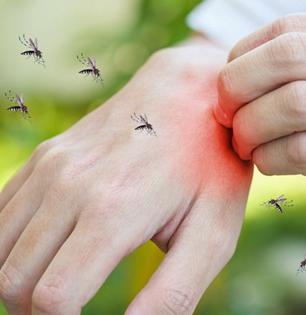 डास चावल्यामुळे चेहऱ्यावर - हातापायांवर पुरळ येते, आग होते, खाज सुटते? ५ सोपे घरगुती उपाय...