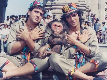 aankhen movie monkey got higher fee than govinda chunky panday | अभिनेत्यांपेक्षा माकडाची झाली चांदी; चक्क गोविंदा, चंकी पांडेपेक्षा माकडाला मिळालं होतं जास्त मानधन