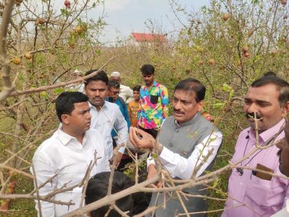 'Farmers do not despair'; Commissioner of Agriculture directly on the dam of damaged farmers! | 'शेतकऱ्यांनो हताश होऊ नका'; कृषी आयुक्त थेट नुकसानग्रस्त शेतकऱ्यांच्या बांधावर! 