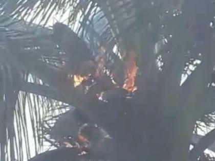 Lightning struck three places in Malpur area, a coconut tree caught fire | मालपूर परिसरात तीन ठिकाणी वीज पडली, नारळाच्या झाडाला आग