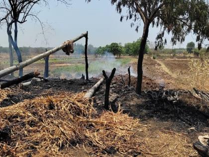 Calf died, two bulls were burnt when Mathefiru set fire to the farm field | माथेफिरूने आखाडा पेटून दिल्याने वासराचा मृत्यू, होरपळलेल्या दोन बैलांचे डोळे गेले