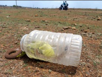 A bag containing a cobra snake remained on the road after the roadshow; Animal friends came running and got life support | कोब्रा साप ठेवलेली पिशवी रोडशोनंतर रस्त्यावर राहिली; प्राणीमित्र आले धावून, सापास जीवदान