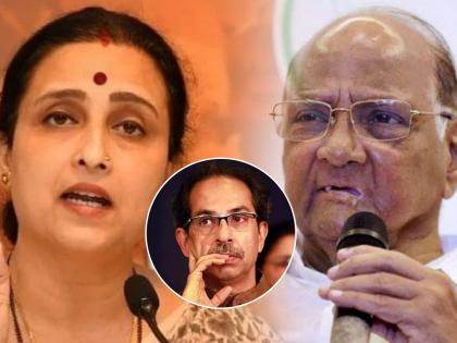 BJP Chitra Wagh Slam Uddhav Thackeray Over Sharad Pawar Statement on mumbai | Chitra Wagh : "उद्धव ठाकरेंचा दुटप्पी चेहरा खुद्द पवार साहेबांनीच समोर आणलाय"; भाजपाची खोचक टीका