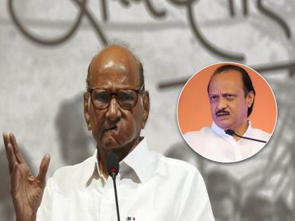 Maharashtra Politics Is Ajit Pawar absent, upset? Sharad Pawar clearly said | Sharad Pawar: अजित पवार गैरहजर, नाराज आहेत का? शरद पवार यांनी स्पष्टच सांगितलं