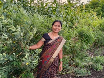 Women farmer Jayashri Dongapure earning 4 times more than average income of turi stand first in state level competition | तुरीचे सरासरीपेक्षा चारपट अधिक उत्पन्न घेणाऱ्या महिला शेतकरी राज्यस्तरीय स्पर्धेत प्रथम