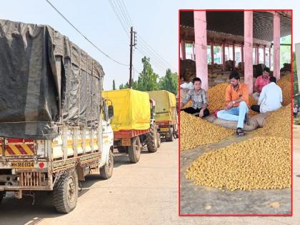 Inflow of 9 thousand quintals of turmeric in Hingoli market yard, measurement will last for three days | हिंगोली मार्केट यार्डात ९ हजार क्विंटल हळदीची आवक, तीन दिवस चालणार मोजमाप