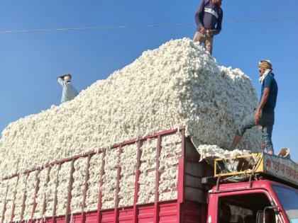 Thieves directly stole the truck full of cotton | चोरट्यांनी थेट कापसाने भरलेला ट्रकच नेला चोरून