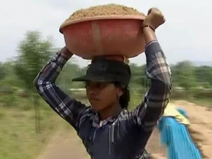 tribal girl who topped the 12th exam works as laborer know reason | नाईलाज! "वही घ्यायला पैसे नाहीत..."; बारावीत अव्वल आलेली मुलगी कडक उन्हात करते मजुरी