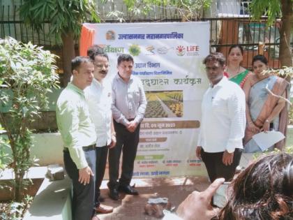 On the environment day of Ulhasnagar Municipal Corporation, one officer, one tree resolution and plantation of trees | उल्हासनगर महापालिकेचा पर्यावरण दिनी एक अधिकारी, एक झाड संकल्प करून वृक्षारोपण