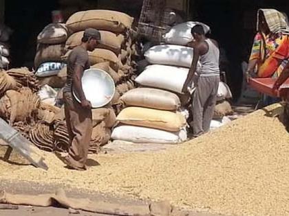 The rate stuck to five thousand; And the farmer was shocked, Latur | दर पाच हजारातच अडकला; अन् शेतकरी हवालदिल झाला!