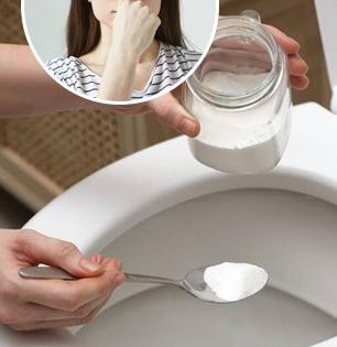 करा 5 उपाय, टॉयलेट मध्ये कधीच येणार नाही दुर्गंधी, वाटेल फ्रेश...