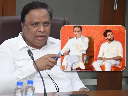 BJP Ashish Shelar Slams Uddhav Thackeray And Aaditya Thackeray Over maharashtra Politics | Ashish Shelar : "ज्यांनी काढला आमचा बाप, तेच उरले आज एक फुल दो हाफ"; भाजपाचा उद्धव ठाकरेंना खोचक टोला