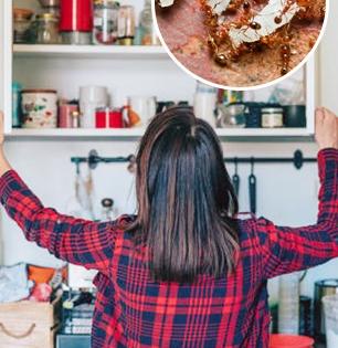 पावसाळ्यात घरभर माश्या-लाइटभोवतीचे किडे फिरतात? करा ४ घरगुती उपाय- किटकांचा त्रास कमी...