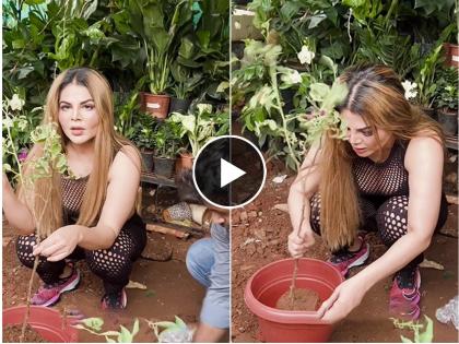 VIDEO: Rakhi Sawant fought Shakkal due to the high cost of tomatoes, doing farming; Saying - 'The next seven births...' | VIDEO: टोमॅटो महागल्यामुळे राखी सावंतने लढवली शक्कल, करतेय शेती; म्हणतेय - 'पुढील सात जन्म...'