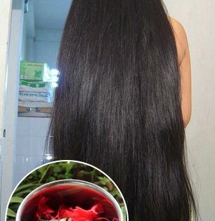 केस विरळ दिसतात, केसांना अजिबात वाढ नाही? लांब-दाट केसांसाठी जास्वंदाच्या तेलाचा खास फॉर्म्युला