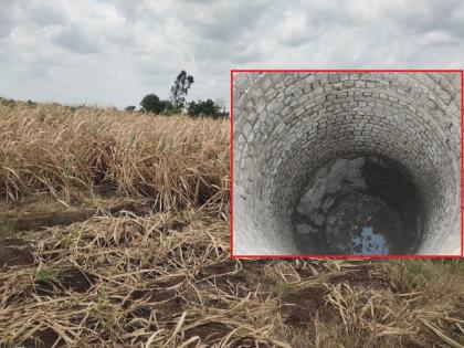 Water sources are sealed; Due to lack of rain, sugarcane is wilting, there is fear of extinction of oilseed varieties | पाण्याचे स्रोत अटले; पावसाअभावी ऊसाची होतेय वैरण, तेलबिया वाण नामशेष होण्याची भीती