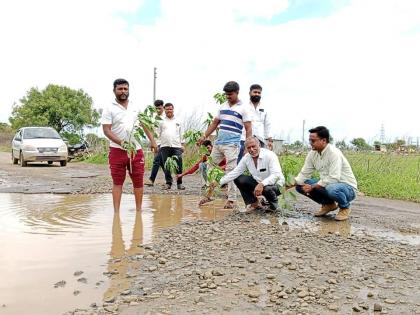 Protests were made by planting Besharam trees in pits | खड्ड्यांमध्ये बेशरमाची झाडे लावून केला निषेध