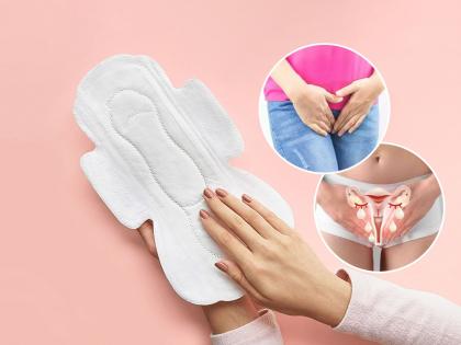 Organic Pads vs Regular Pads: Which Is Better?