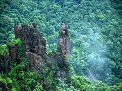 The natural beauty of 'Gautala' sanctuary blossomed; But tourists are banned until September 15! what is the reason | ‘गौताळा’ अभयारण्यातील निसर्ग सौंदर्य बहरले; पण पर्यटकांना १५ सप्टेंबरपर्यंत बंदी ! कारण काय ?