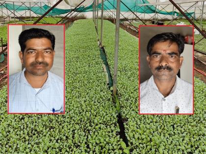 Siblings earn lakhs of rupees a month by setting up nurseries, breaking traditional agriculture | पारंपारिक शेतीला फाटा, रोपवाटिका उभारून भावंड कमवतात महिन्याला लाखो रुपये