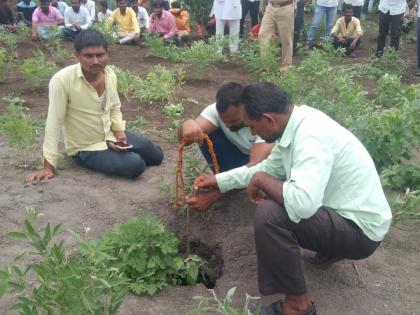 Save 'Golu'! A 4-year-old boy who came to the farm with his grandmother fell into the borewell | 'गोलु'ला वाचवा! आजीसोबत शेतात आलेला ४ वर्षाचा चिमुकला पडला बोअरवेलमध्ये