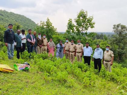 24 leopards die in Chhatrapati Sambhajinagar in 2 years; Now a decomposed body was found in Soygaon | छत्रपती संभाजीनगरात २ वर्षांत २४ बिबट्यांचा मृत्यू; आता सोयगावात कुजलेला मृतदेह आढळला