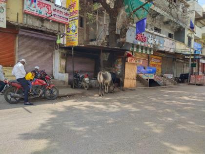 Spontaneous response to bandh in Sakri taluka, Antarwali Sarati's reaction | साक्री तालुक्यात बंदला उत्स्फूर्त प्रतिसाद, अंतरवाली सराटीचे पडसाद