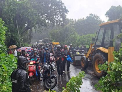 Alibaug-Wadkhal road traffic stopped due to falling tree! | अलिबाग-वडखळ रस्त्यावर झाड पडल्याने वाहतूक बंद!