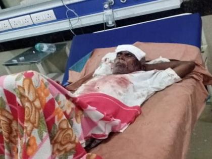 5 people were seriously injured due to being bitten by monkey | पिसाळलेल्या वानराचा धुमाकूळ; चावा घेतल्याने ५ जण गंभीर जखमी