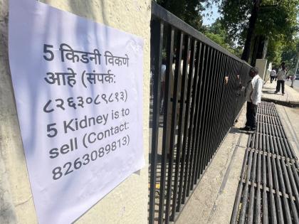 'Five kidneys to sell'; Shocking decision of farmer's family due to lender's investigation | 'पाच किडनी विकणे आहे'; सावकारी जाचामुळे शेतकरी कुटुंबाचा धक्कादायक निर्णय