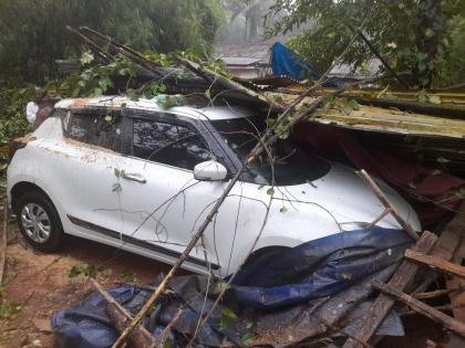 Stormy rains hit Surla village, three vehicles were damaged by falling trees | सुर्ला गावाला वादळी पावसाचा तडाखा, तीन वाहनांवर झाड पडून नुकसान