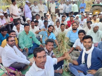 Farmers'agitation for 24 hours electricity in gadchiroli | २४ तास विजेसाठी शेतकऱ्यांचा महावितरणसमाेर ठिय्या