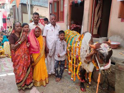 In Jalgaon, there is a cow cow baby shower programme | जळगावात चक्क गायीचे डोहाळे जेवण कार्यक्रम