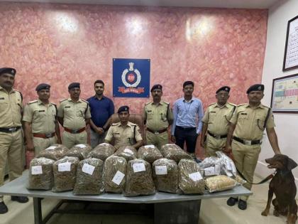 Dog found 26 kg of ganja, action of railway security force! | कुत्र्याने शोधला २६ किलो गांजा, रेल्वे सुरक्षा बलाची कारवाई!