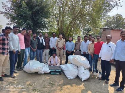 Cultivation of ganja in cotton field in Khanapur, 70 kg of ganja seized | खानापूर येथे कपाशीच्या शेतात गांजाची लागवड, ७० किलो गांजा जप्त