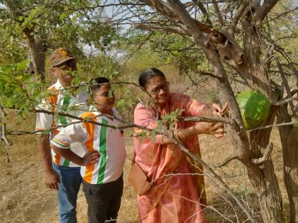 Bird Week begins at Gyan Ganga Sanctuary | ज्ञानगंगा अभयरण्यात पक्षी सप्ताहाला सुरुवात