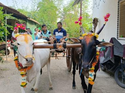 This unique journey of bulls on Alibaug-Chondi road | अलिबाग-चोंढी रस्त्यावर बैलांची ही अनोखी सफर