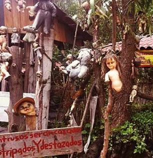 एक असं बेट जिथे कानाकोपऱ्यात लटकत आहेत 'डेड डॉल्स'. पाहा झाडाला लटकणाऱ्या बाहुल्यांची रहस्मय वस्ती..