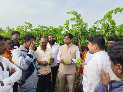 Water on farmers' dreams too; Agriculture on 6700 hectares of Jalna district is affected by unseasonal weather | शेतकऱ्यांच्या स्वप्नांवरही पाणी; जालना जिल्ह्यातील ६७०० हेक्टरवरील शेतीला अवकाळीचा तडाखा