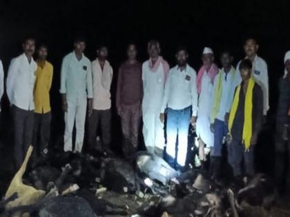 23 sheep died due to fodder poisoning, 17 sheep survived | चाऱ्यातून विषबाधा झाल्याने २३ मेंढ्याचा मृत्यू, १७ मेंढ्या बचावल्या