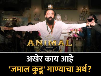 Bobby Deol’s Animal entry song ‘Jamal Kudu’: Origin, meaning and lyrics of the internet sensation | इंटरनेट सेनसेशन बनलं 'अ‍ॅनिमल'मधील 'जमाल कुडू'; पण गाण्याचा अर्थ काय रे भाऊ?