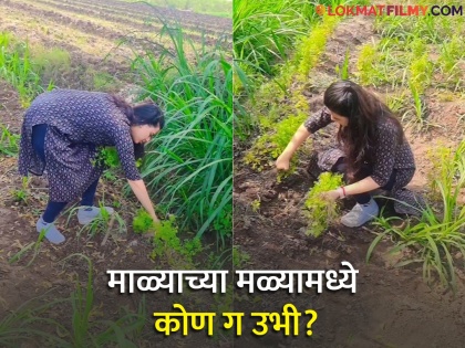 Marathi Actress Prajakta Gaikwad Shared Farming Video On social media | शेतात काम करणारी 'ही' मराठमोळी अभिनेत्री कोण? व्हिडीओ व्हायरल