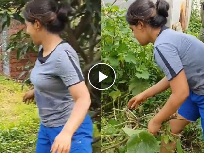VIDEO: This famous actress left Mumbai and indulged in agriculture! Farming with husband along with acting | VIDEO : मुंबई सोडून शेतीत रमली ही प्रसिद्ध अभिनेत्री! अभिनयासह नवऱ्यासोबत करतेय शेती